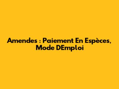 Amendes : Paiement En Espèces, Mode D'Emploi