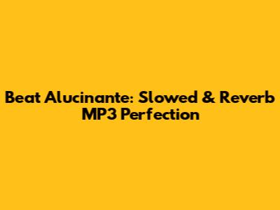 Beat Alucinante: Slowed & Reverb MP3 Perfection