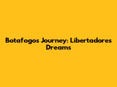 Botafogo's Journey: Libertadores Dreams