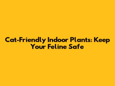 Cat-Friendly Indoor Plants: Keep Your Feline Safe
