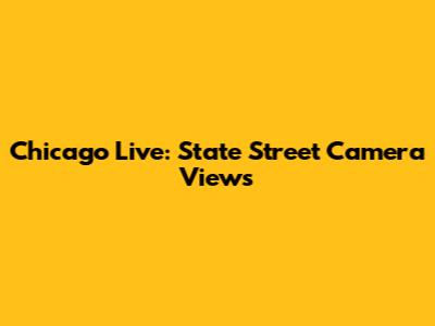 Chicago Live: State Street Camera Views