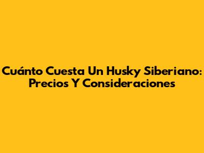 Cuánto Cuesta Un Husky Siberiano: Precios Y Consideraciones