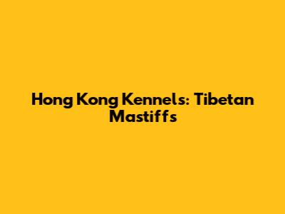 Hong Kong Kennels: Tibetan Mastiffs