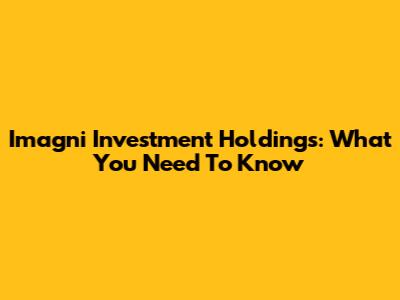 Imagni Investment Holdings: What You Need To Know