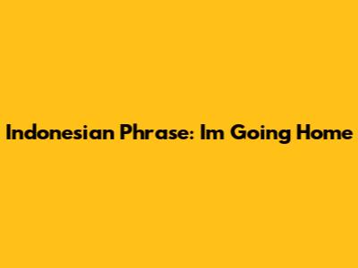 Indonesian Phrase: "I'm Going Home"