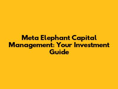 Meta Elephant Capital Management: Your Investment Guide