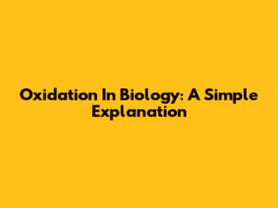 Oxidation In Biology: A Simple Explanation