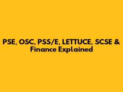 PSE, OSC, PSS/E, LETTUCE, SCSE & Finance Explained