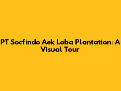 PT Socfindo Aek Loba Plantation: A Visual Tour
