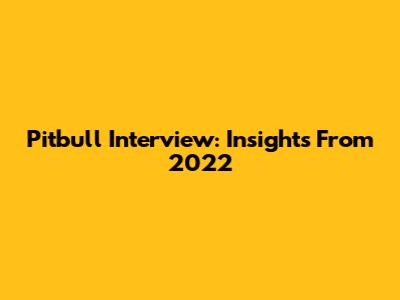 Pitbull Interview: Insights From 2022