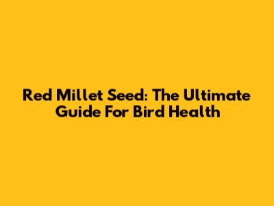 Red Millet Seed: The Ultimate Guide For Bird Health