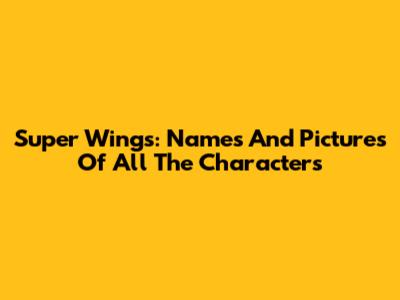 Super Wings: Names And Pictures Of All The Characters