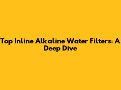 Top Inline Alkaline Water Filters: A Deep Dive